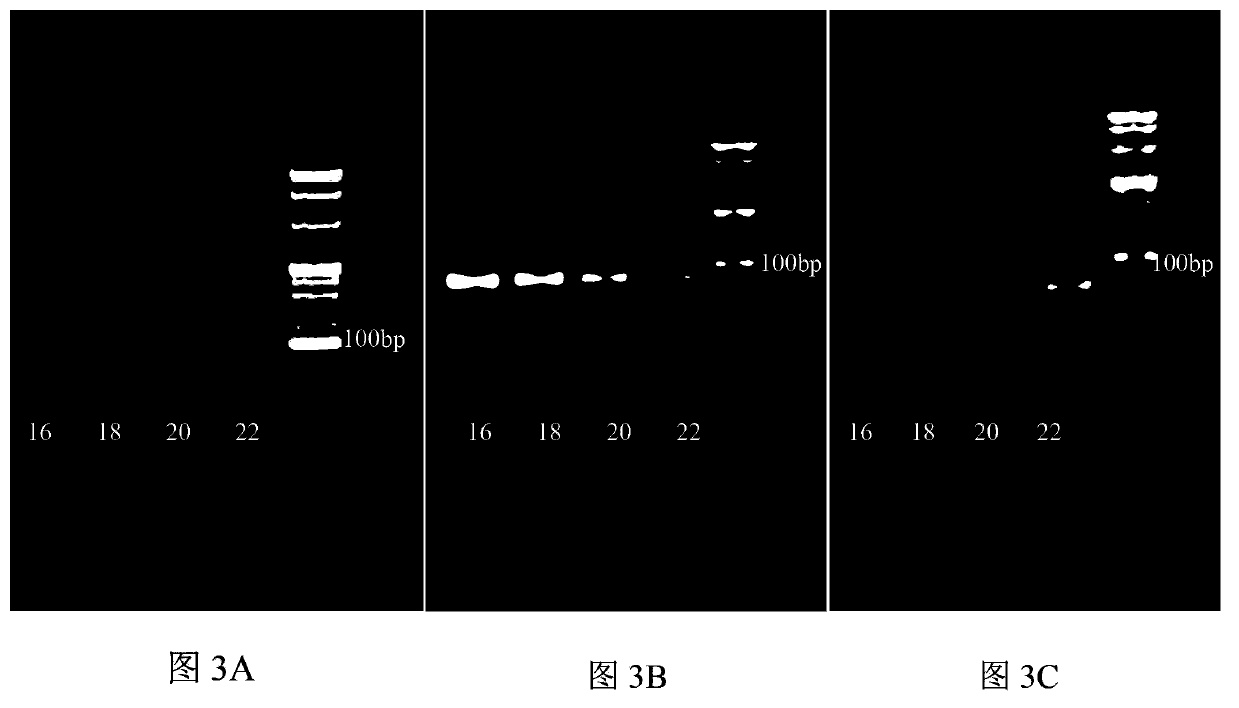 Decreasing DNA library concentration based aptamer screening method and aptamer