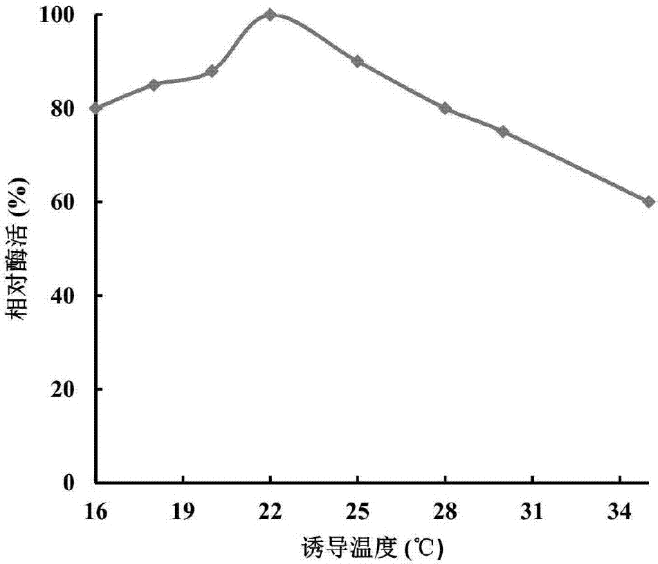 Engineering strain for expressing epoxide hydrolase of kidney beans, and application of engineering strain