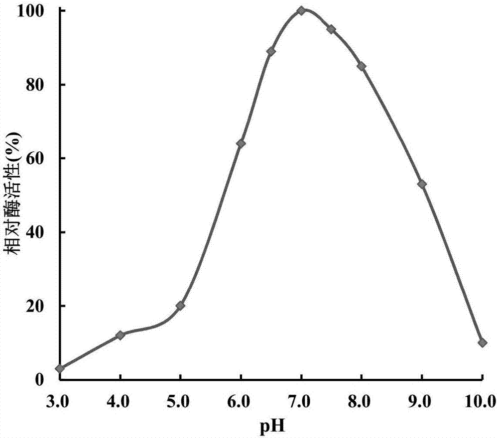 Engineering strain for expressing epoxide hydrolase of kidney beans, and application of engineering strain