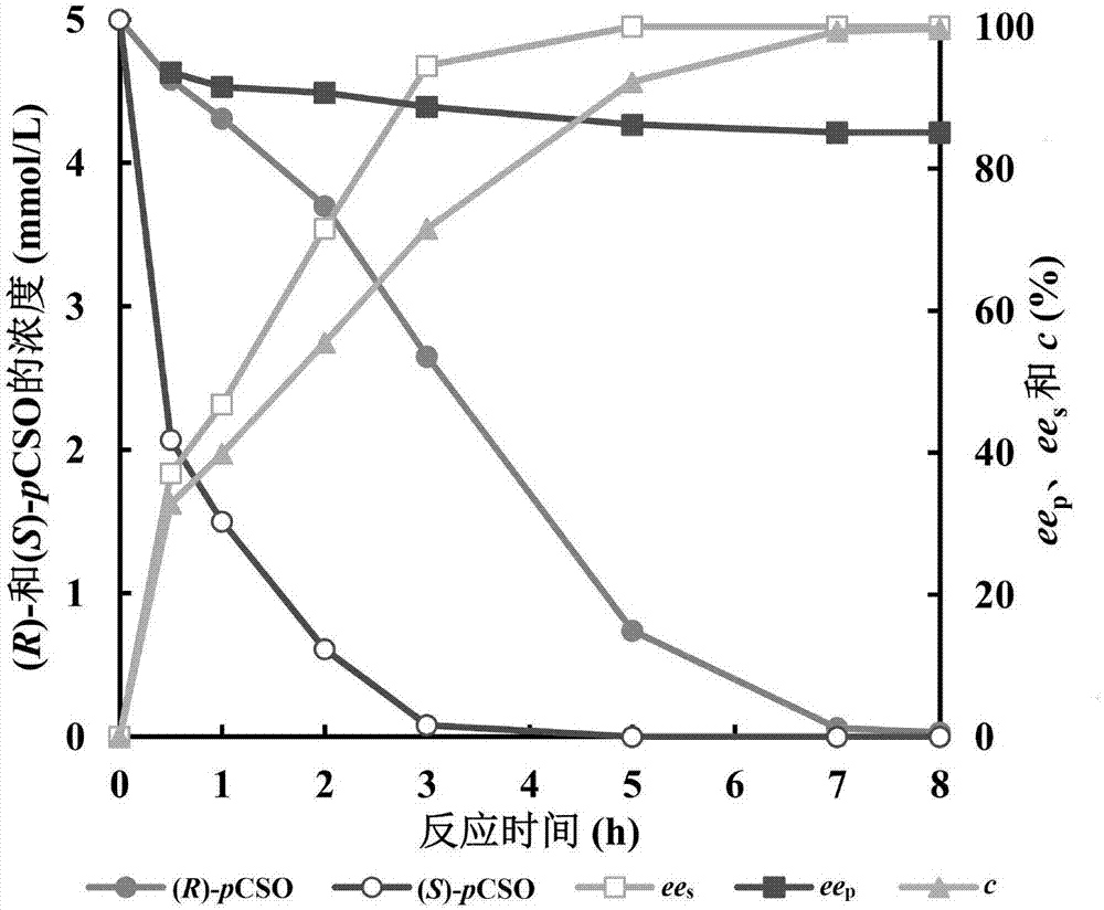 Engineering strain for expressing epoxide hydrolase of kidney beans, and application of engineering strain