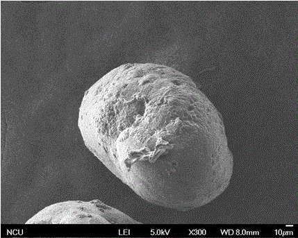 Method for preparing dodecyl-pectin microspheres carrying sheep serum protein