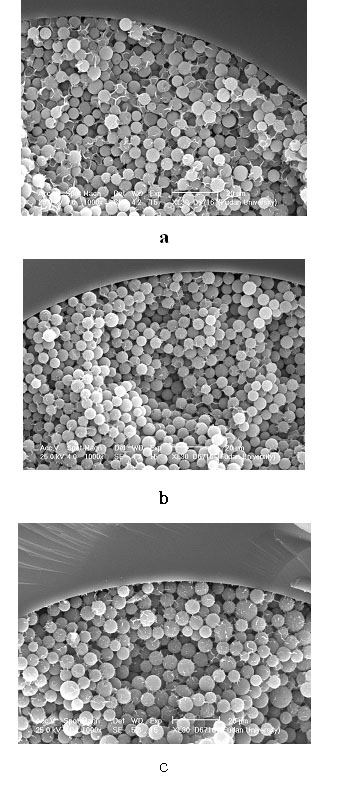 Manufacture method and application of novel incomplete protein micro catcher