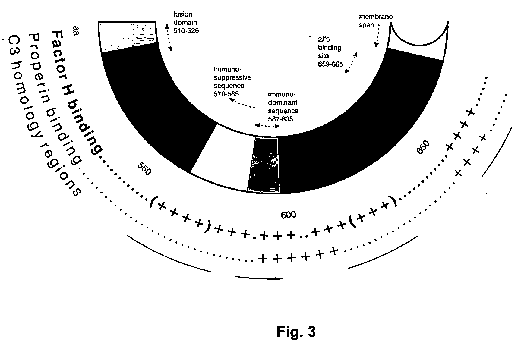 Immunogenic composition and method of developing a vaccine based on factor H binding sites