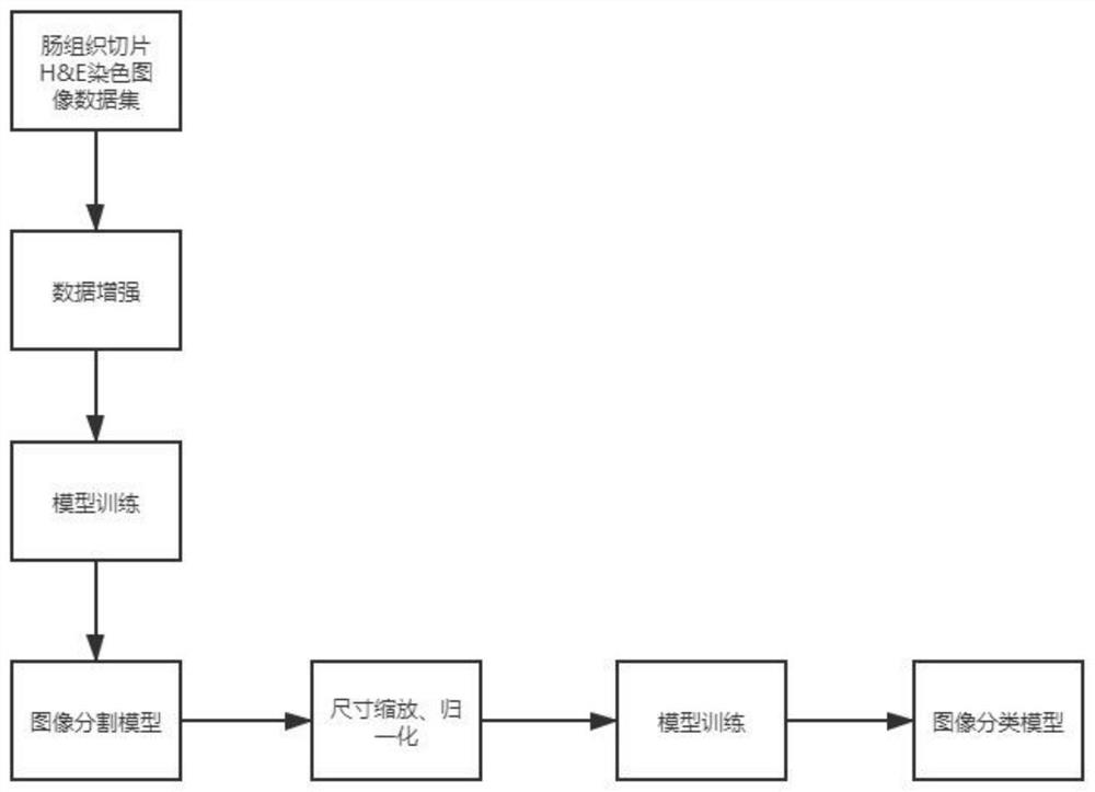 Intestinal neuron neuron dysplasia recognition method based on Swinin-Unet algorithm