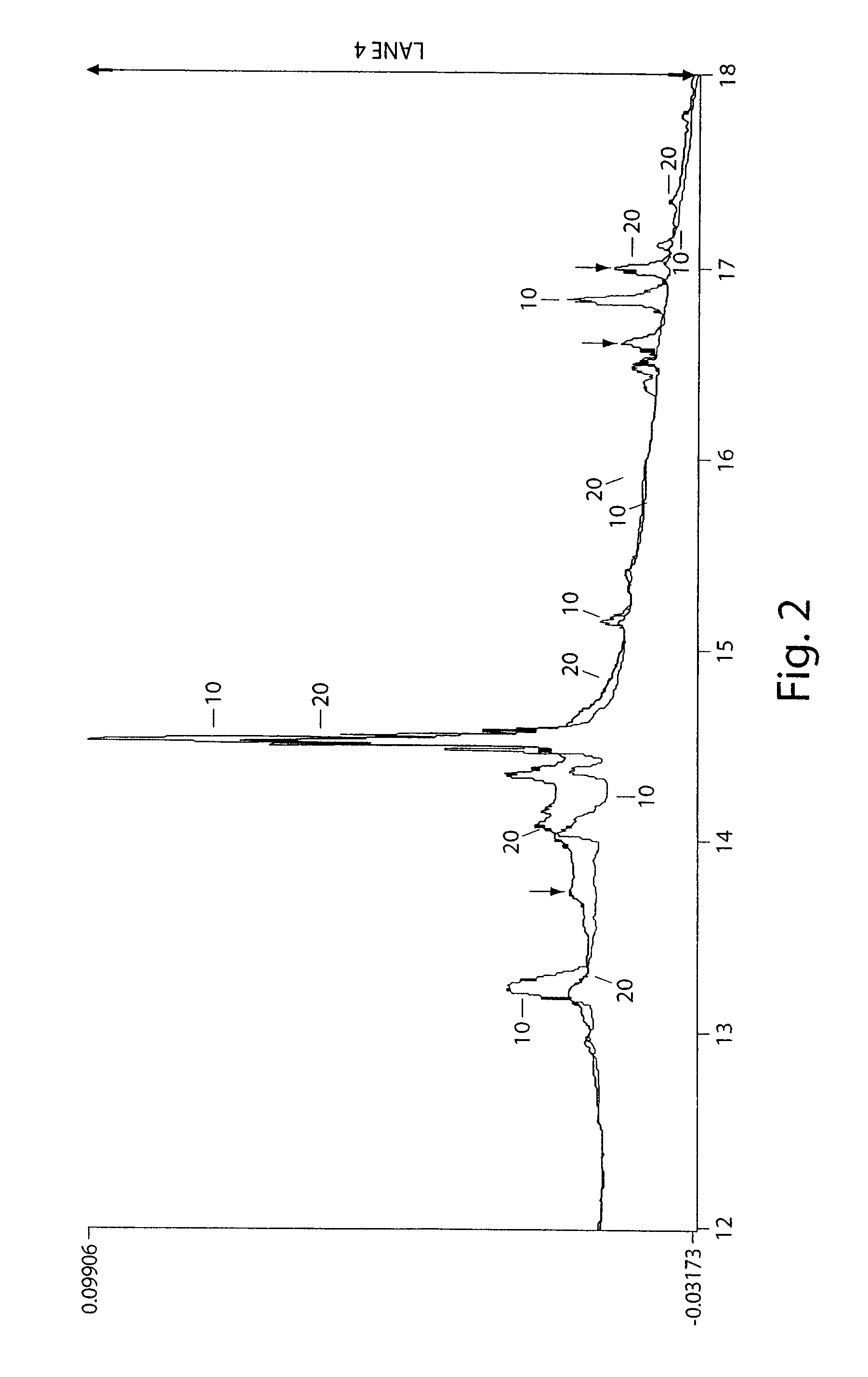 Systems and methods for characterization of molecules