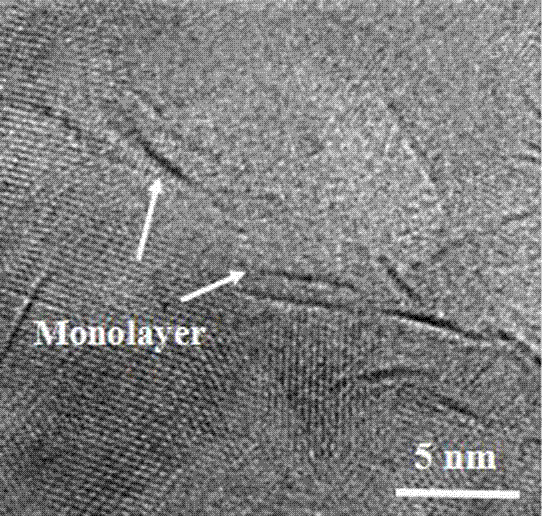 Preparation method and application of porous single-layer MoS1.85 nanonet
