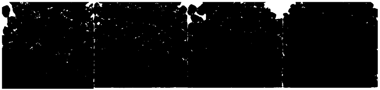 Multiple-grain puffed foods and making method thereof