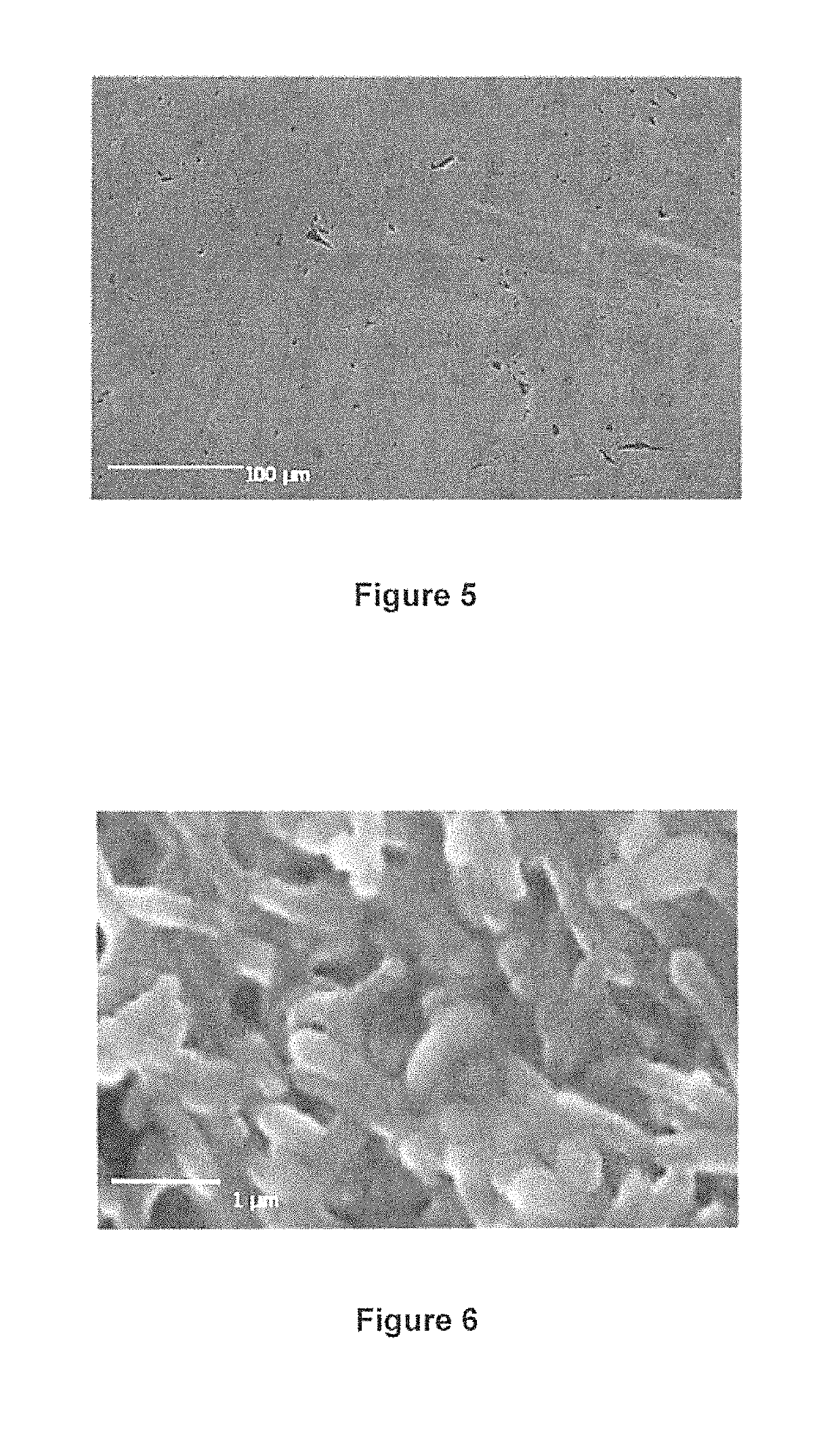 Bioreactor for the in situ study of microbial biofilms inducing corrosion on metal surfaces