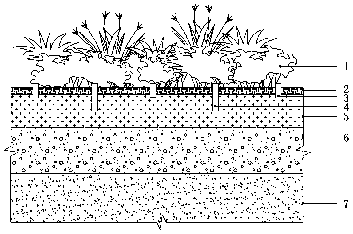 Green land soil improvement method suitable for built environment of ...