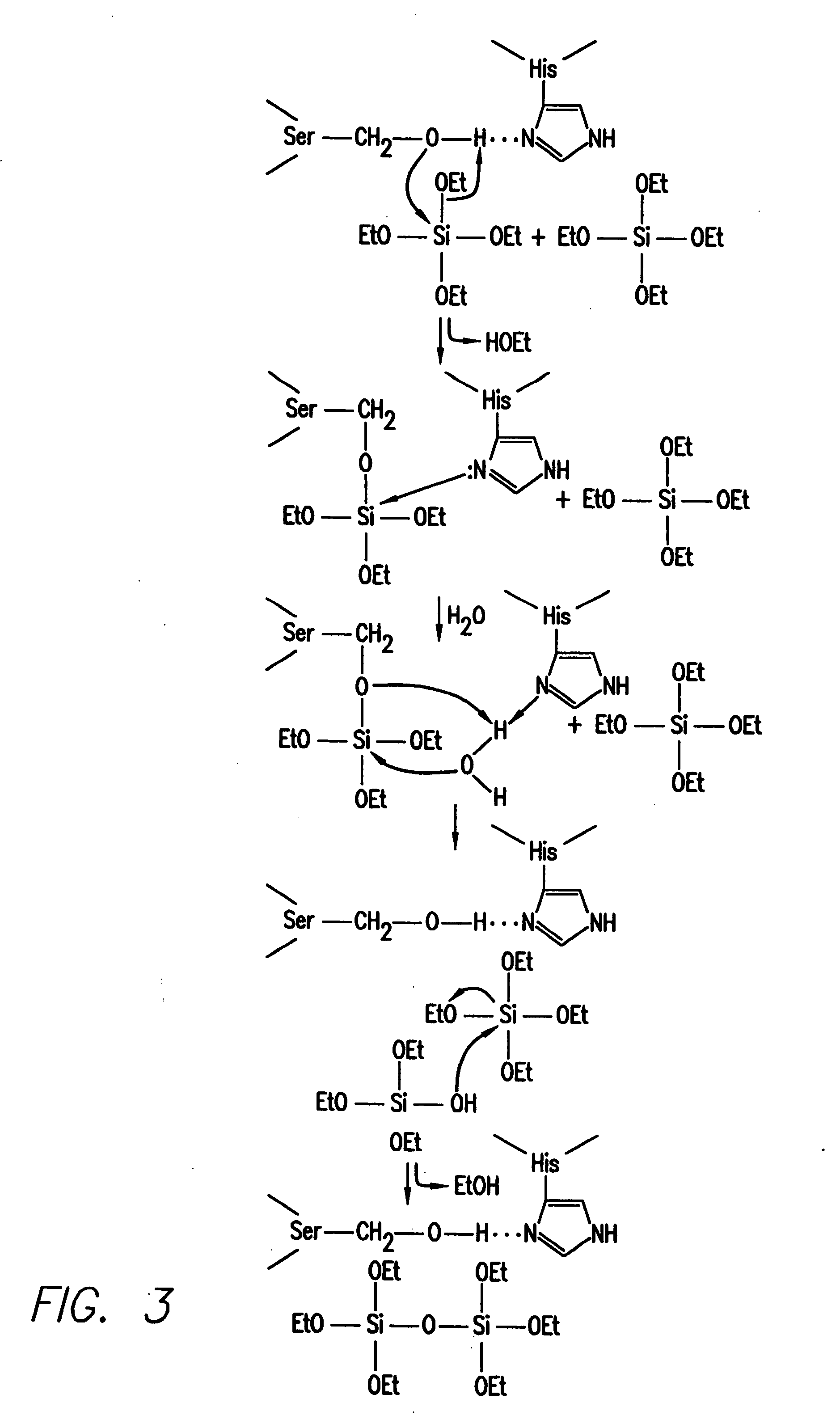 Methods, compositions, and biomimetic catalysts for the synthesis of silica, polysilsequioxanes, polysiloxanes, non-silicon metalloid-oxygen networks, polymetallo-oxanes, and their organic or hydrido conjugates and derivatives