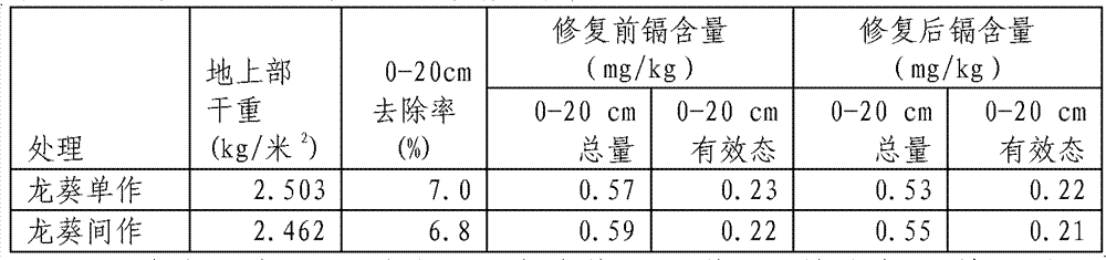 Method of producing while recovering for cadmium-polluted vegetable field