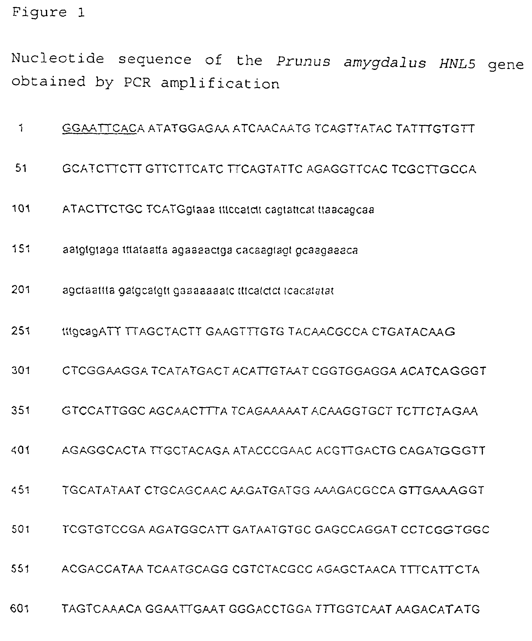 Isolated protein having hydroxynitrile lyase activity