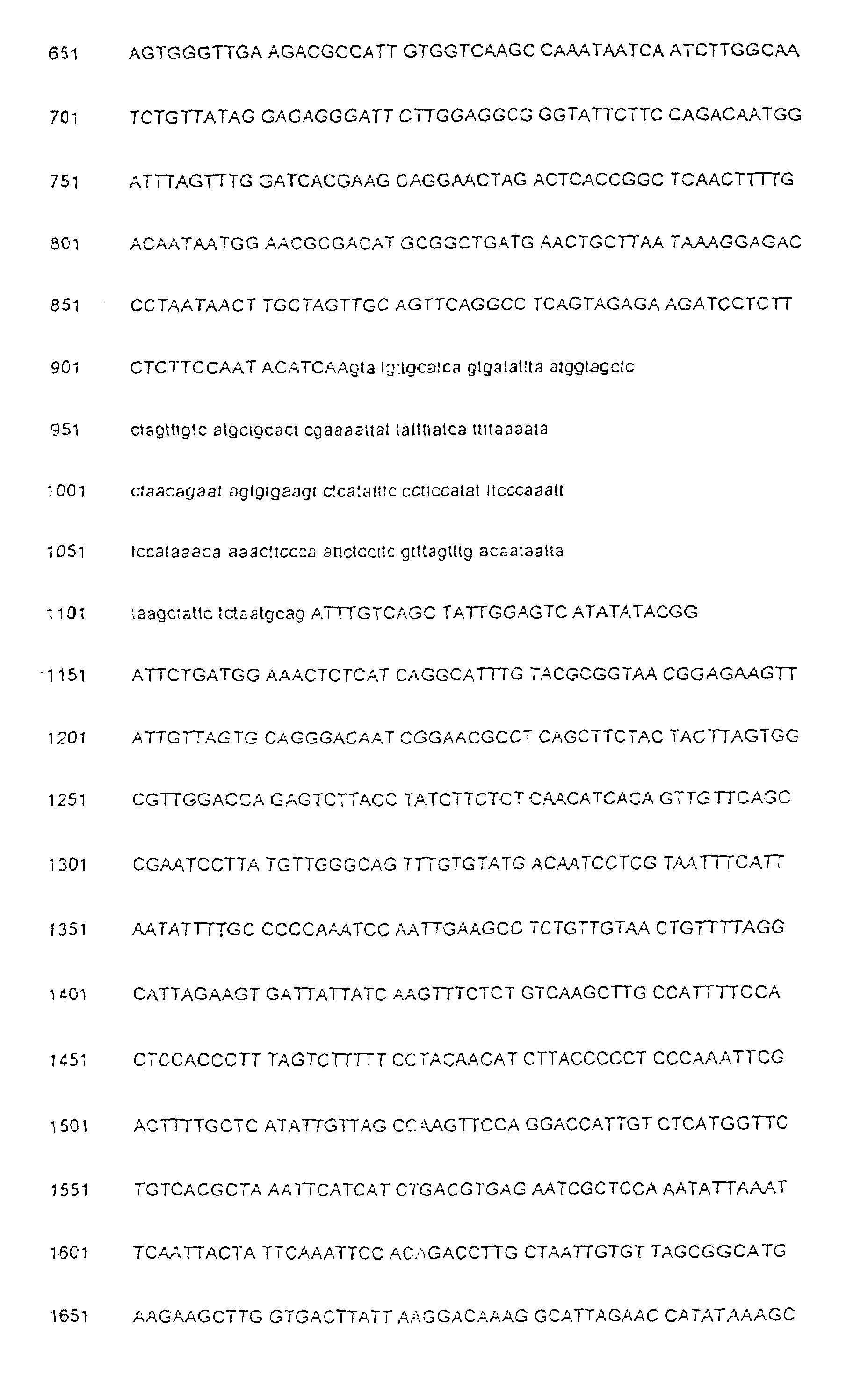 Isolated protein having hydroxynitrile lyase activity