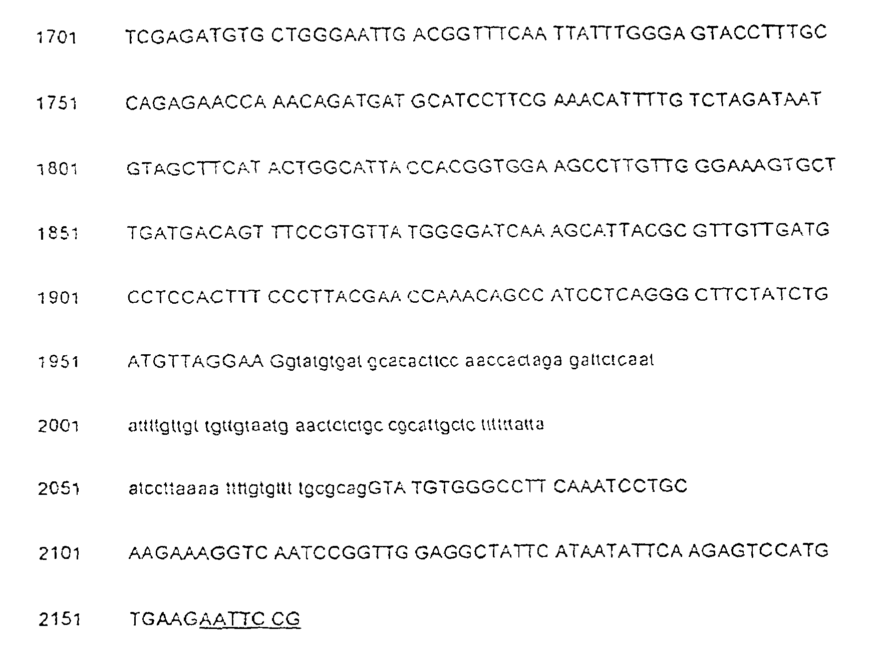 Isolated protein having hydroxynitrile lyase activity