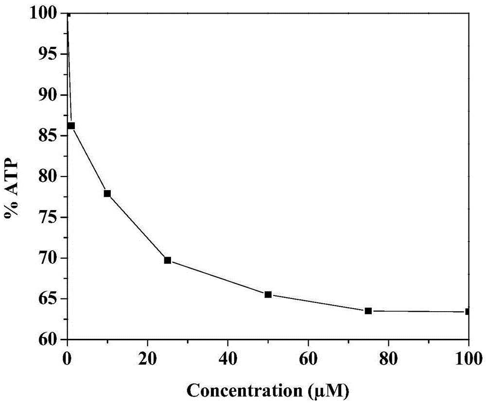 Anti-tumor drug compound, preparation method and application