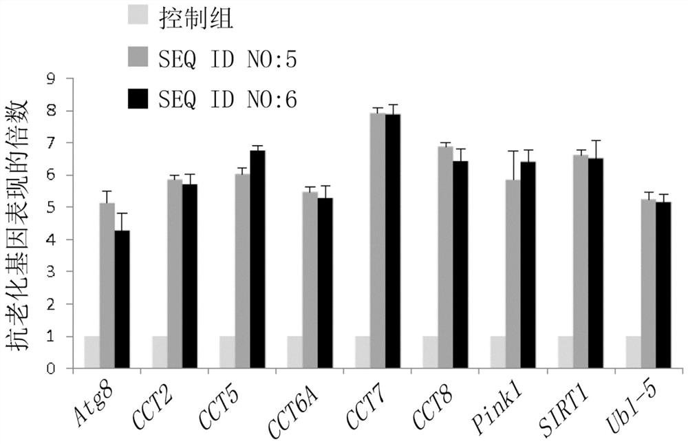 Use of bioactive substances for preparation of anti-aging compositions