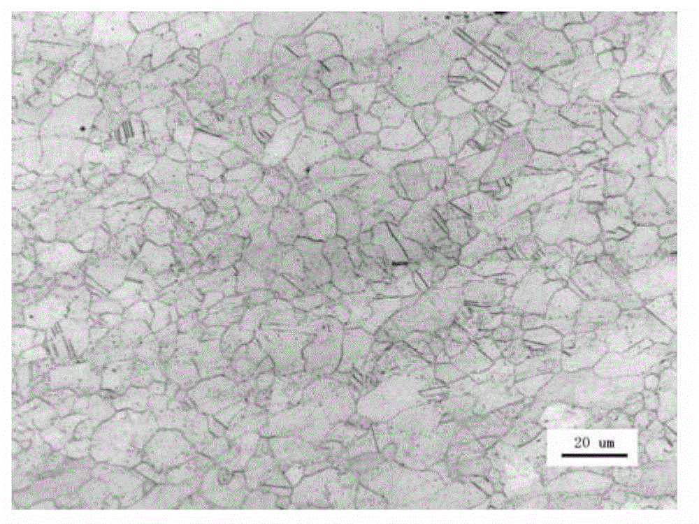 TWIP (twinning induced plasticity) steel metallographic phase specimen preparation agent and use method thereof