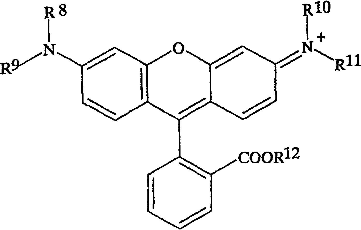 Pigment composition of triarylmethane and rhodamine, and pigment dispersion using same