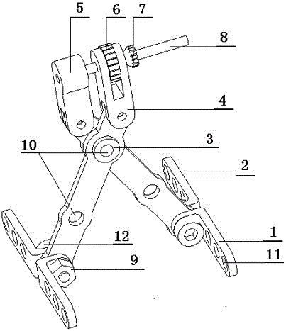 Traction apparatus assisting in automatic recovery and growth of wound surface