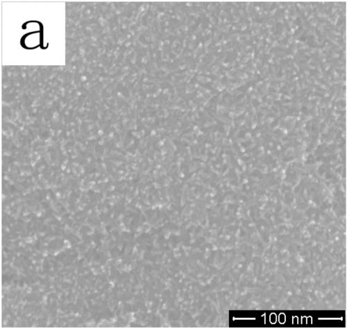 Preparation method of titanium oxide nanotube array film