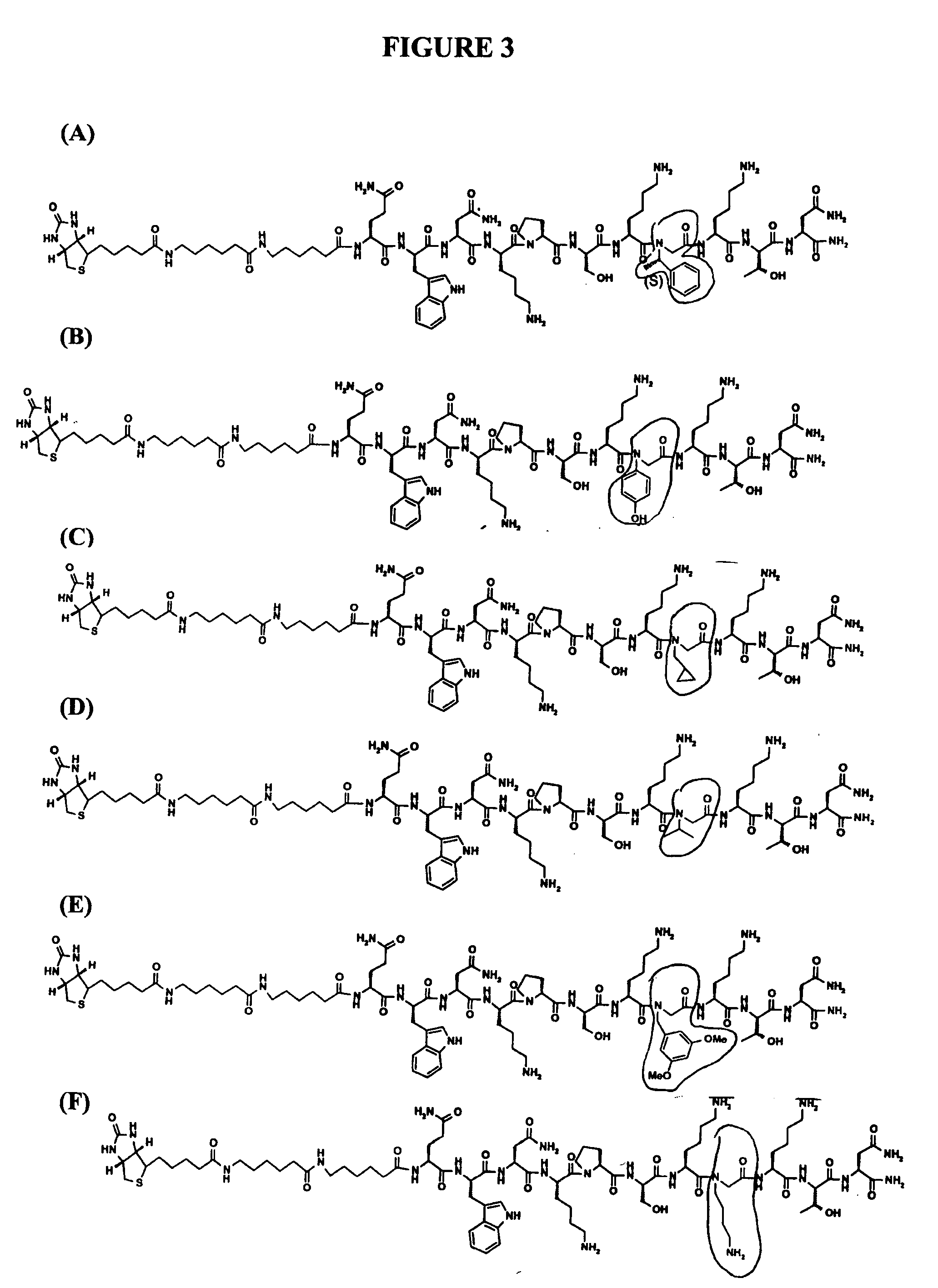 Prion-specific peptide reagents