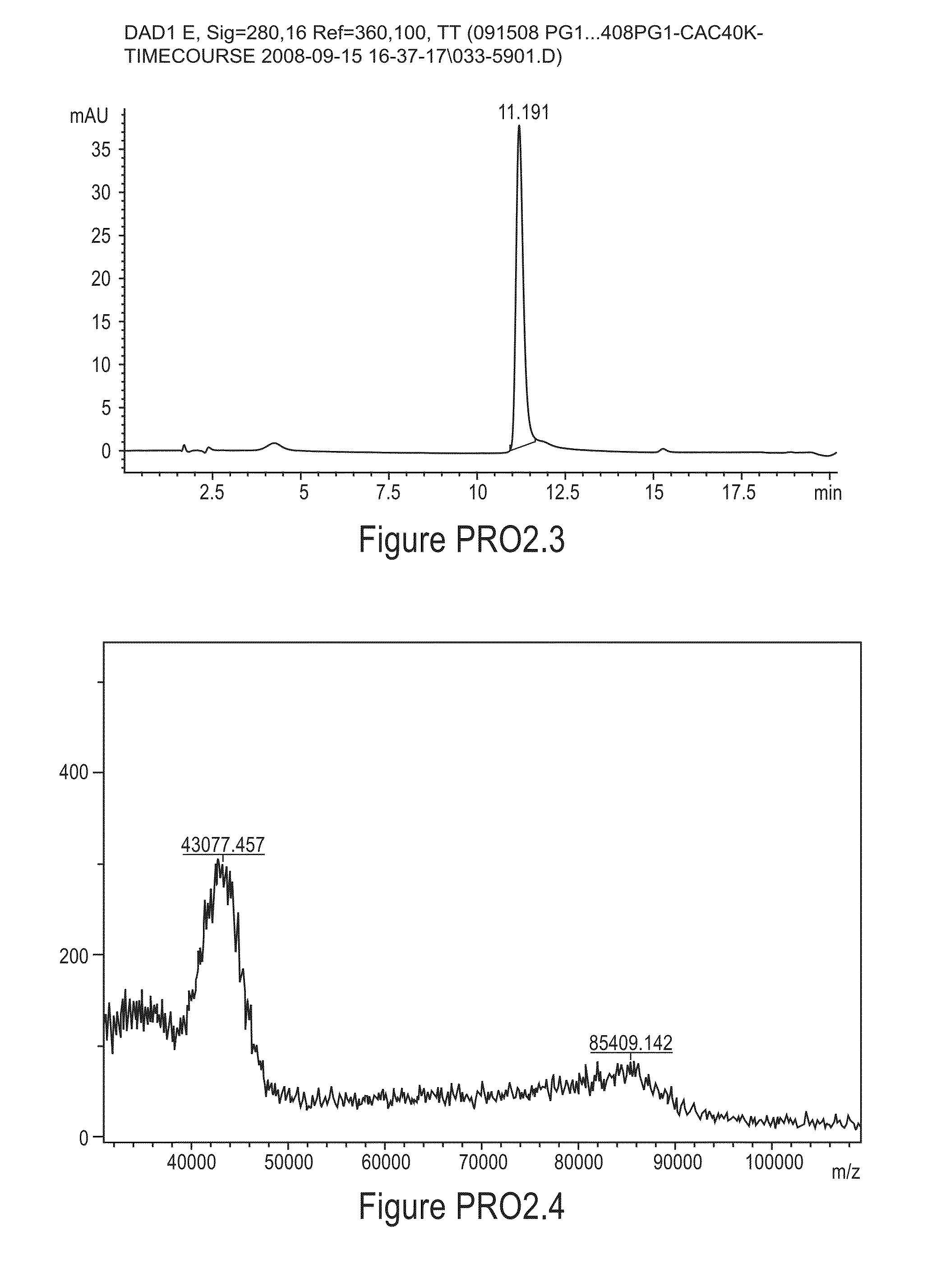 Polymer conjugates of protegrin peptides