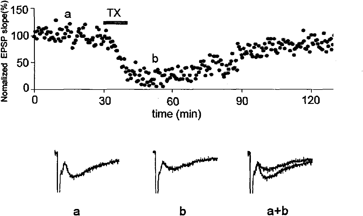 40H-GTS-21 compounds, preparation method and application thereof