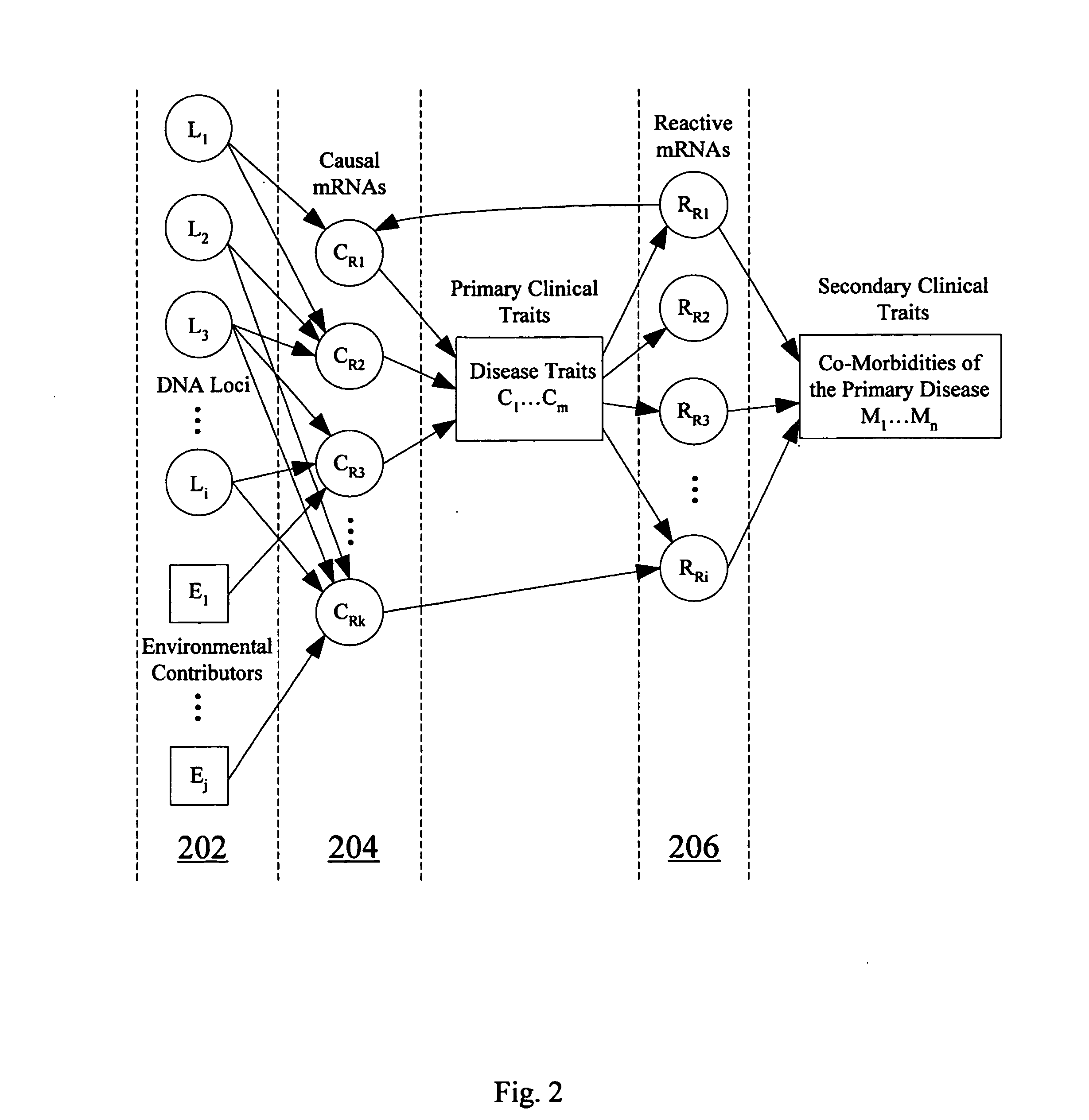 Computer systems and methods for inferring casuality from cellular constituent abundance data
