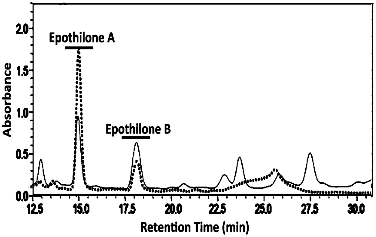 A fermentation additive capable of changing the production ratio of epothilones and increasing the yield of epothilones