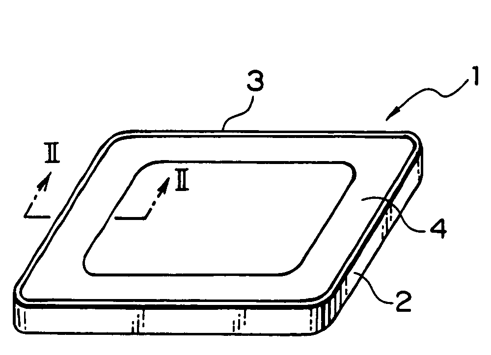 Insert film used for forming resin panel, process for producing the film and resin panel using the film