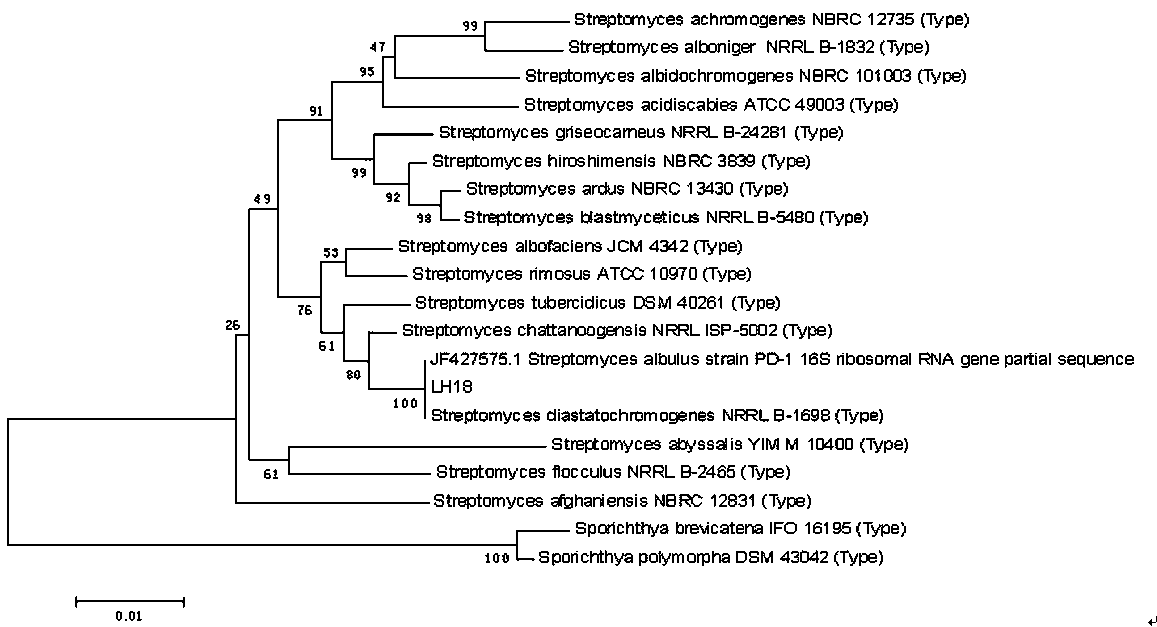 Streptomyces albus X-18 and method for producing epsilon-polylysine by using same