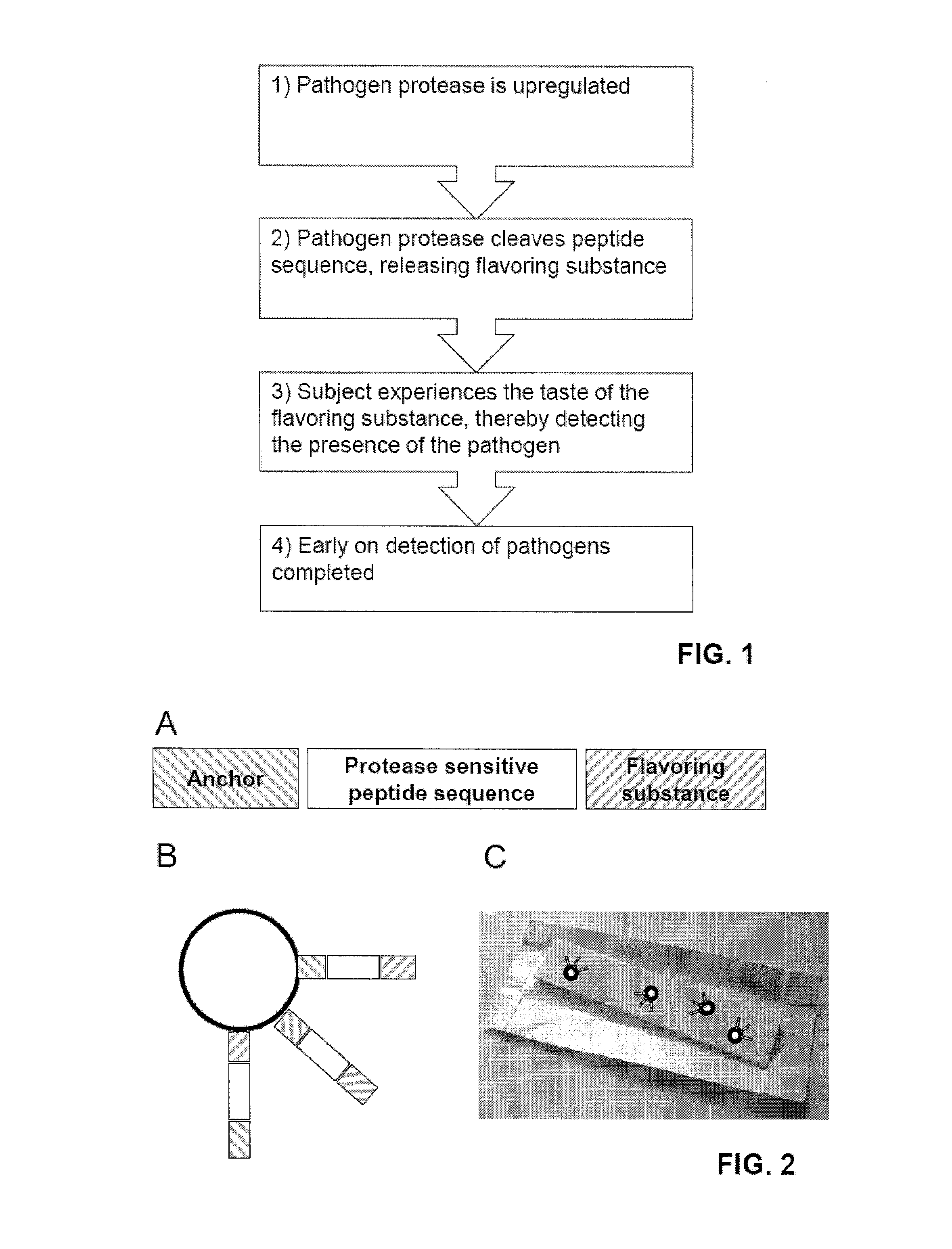 Diagnostic chewing gum for pathogens