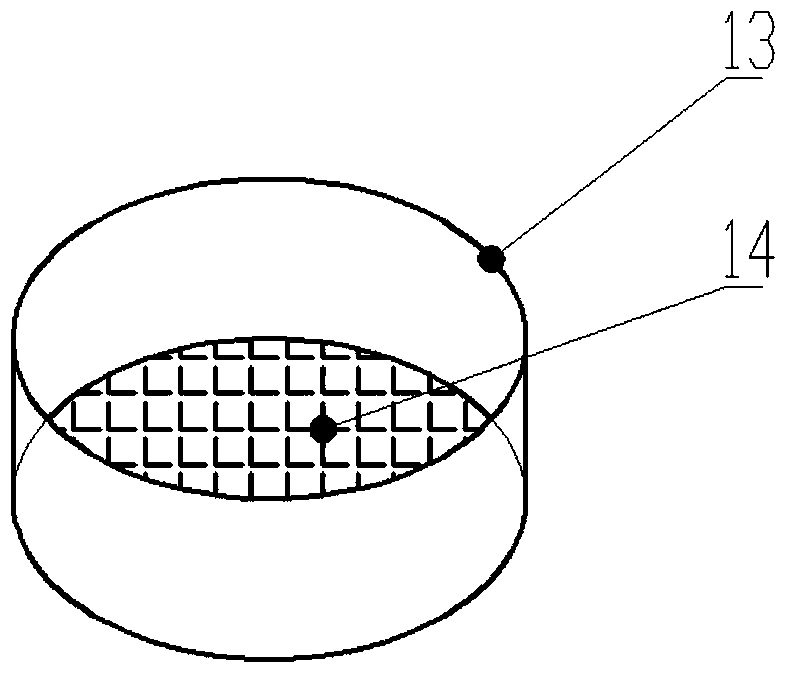 A kind of indoor insect breeding device and breeding method of Thrips chrysanthemum