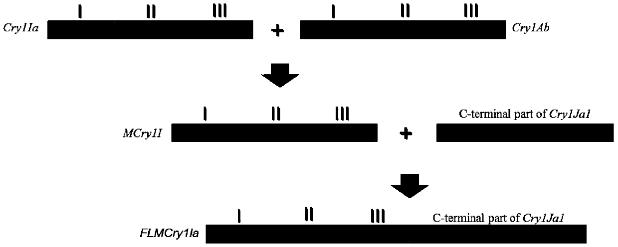 A kind of artificially synthesized bt insect-resistant gene flia and its preparation method and application