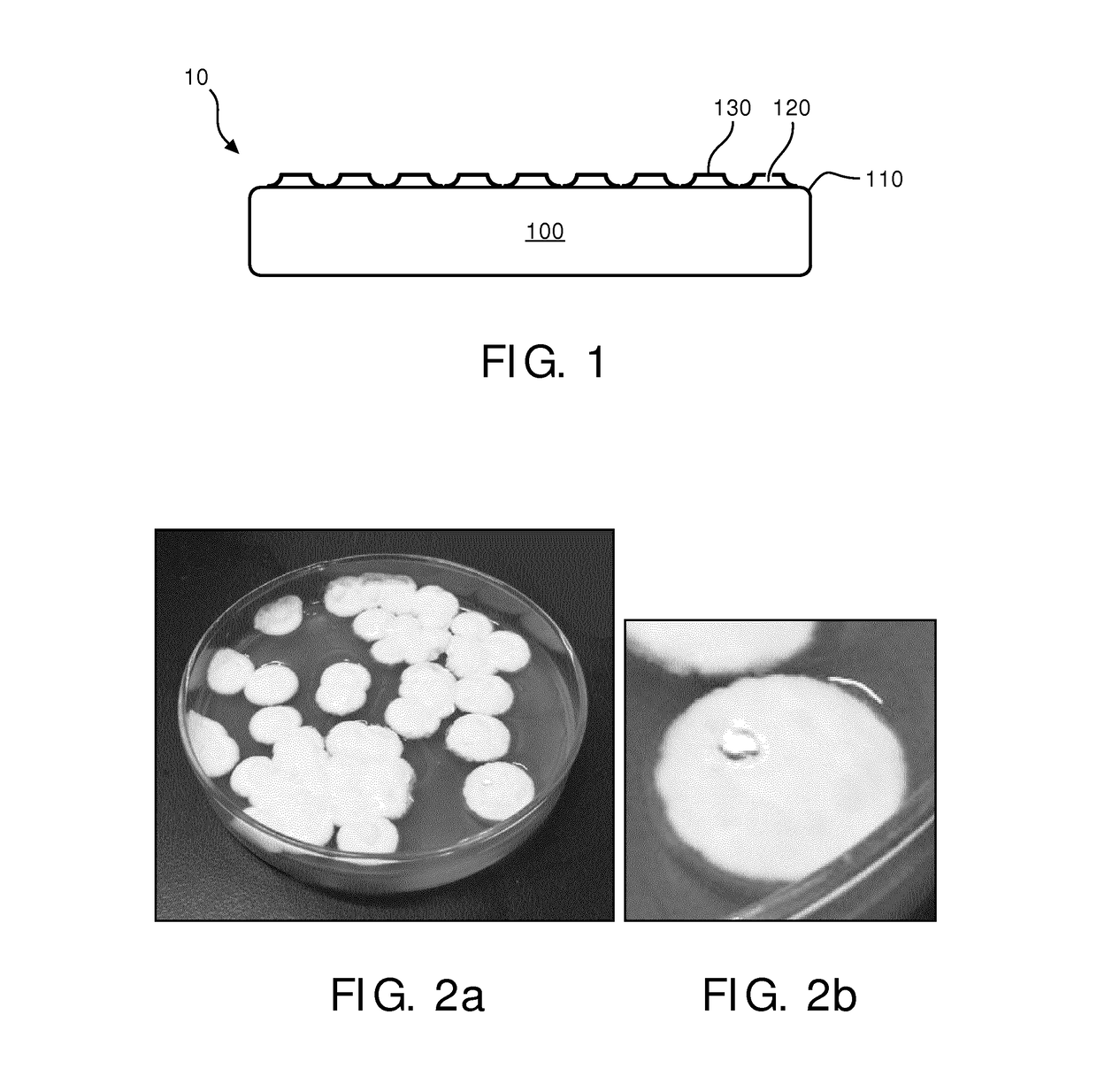 A method for treating a surface and an article comprising a layer of microbial structures