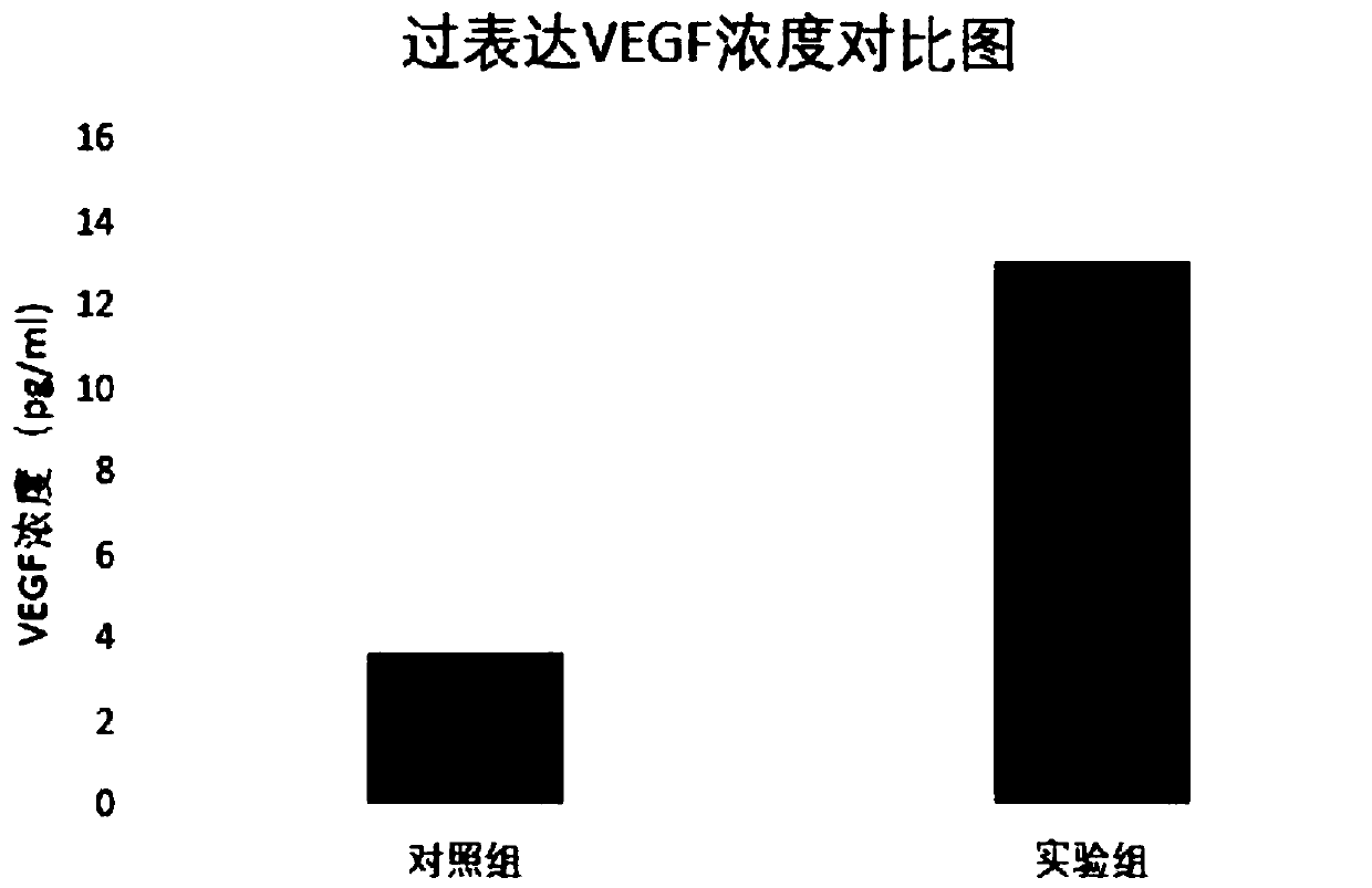 Preparation method and application of stem cell supernate rich in VEGF and FGF