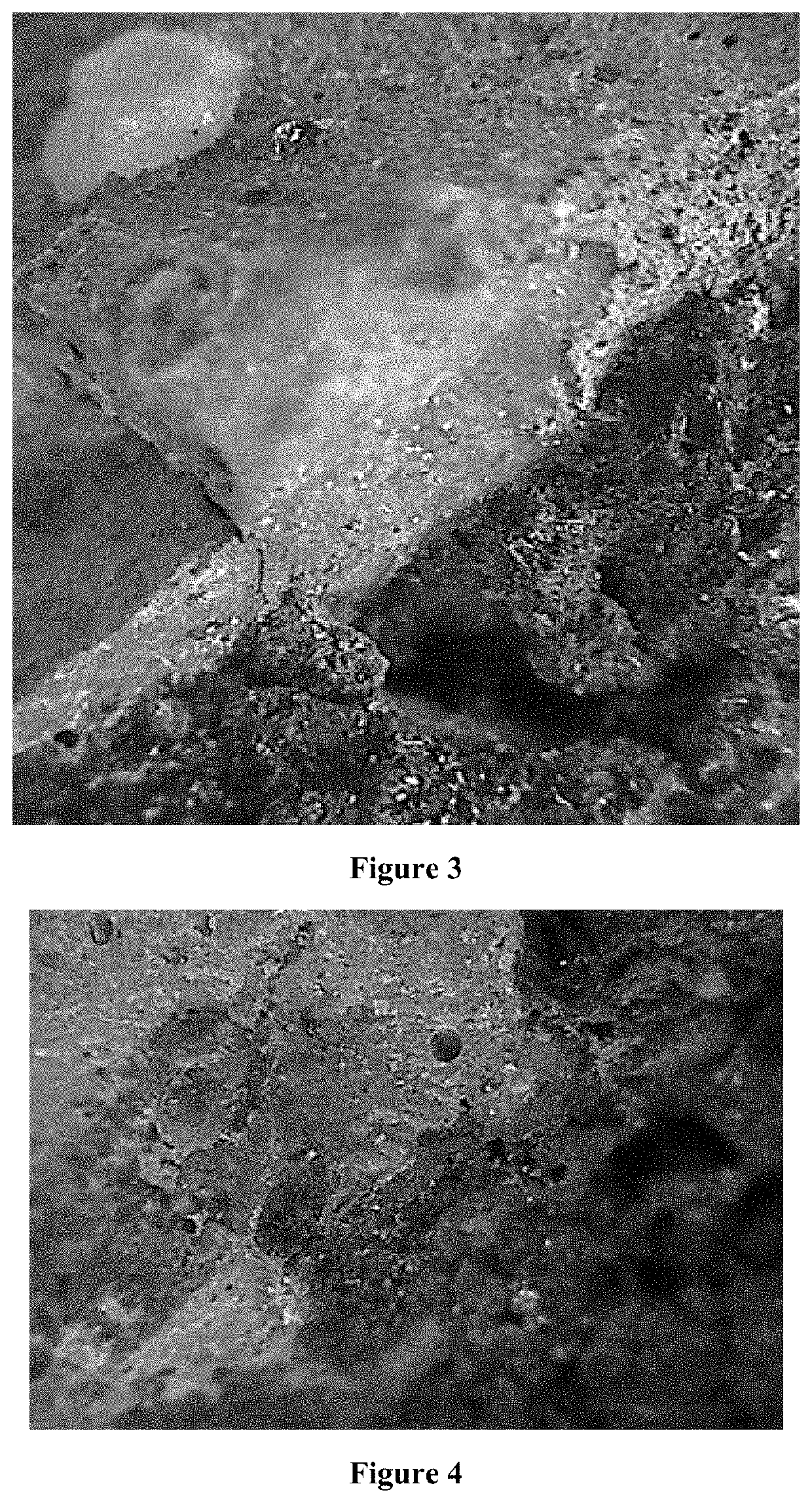 Cementitious composition with high bond strength to both asphalt and cement based materials