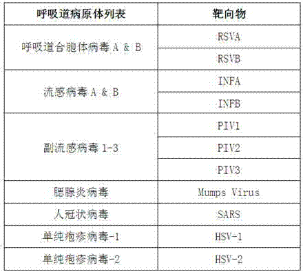 Nucleic acid parallel testing liquid-phase chip as well as preparation method and application thereof