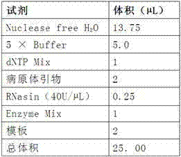 Nucleic acid parallel testing liquid-phase chip as well as preparation method and application thereof