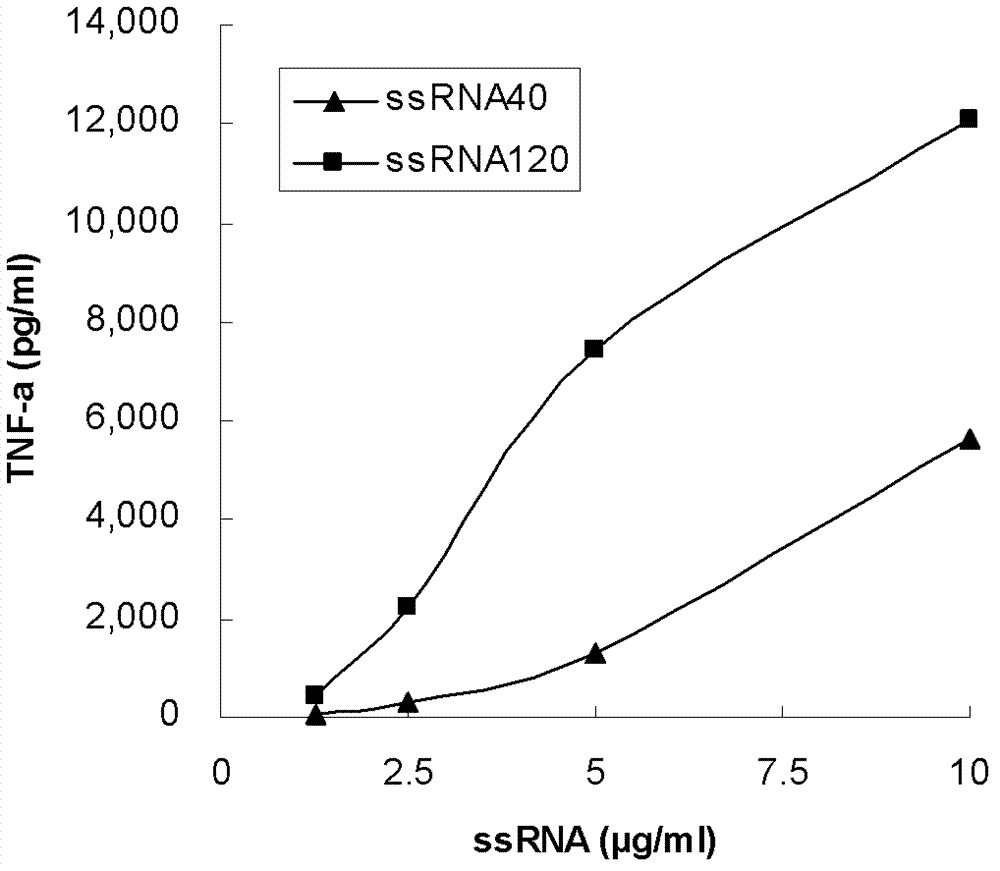 Agonist and application of Toll-like receptors 7 and 8