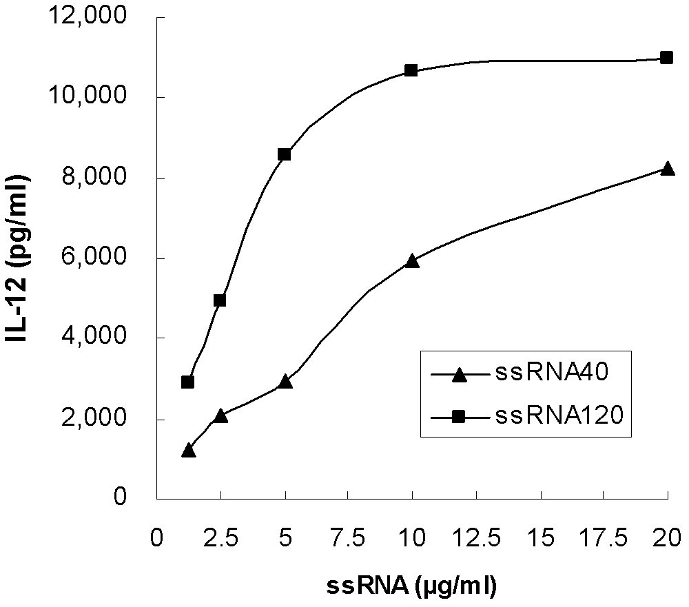 Agonist and application of Toll-like receptors 7 and 8