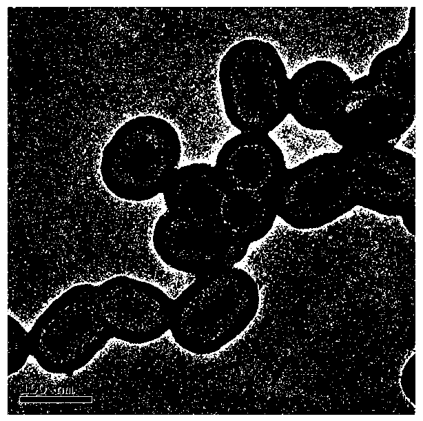 A gold-gadolinium composite nanomaterial, preparation method and use thereof