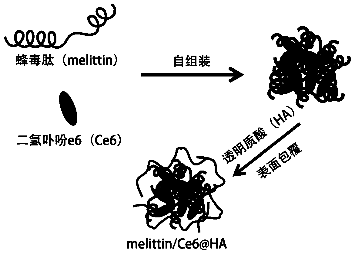 A kind of nano-reagent based on melittin and its preparation method and application