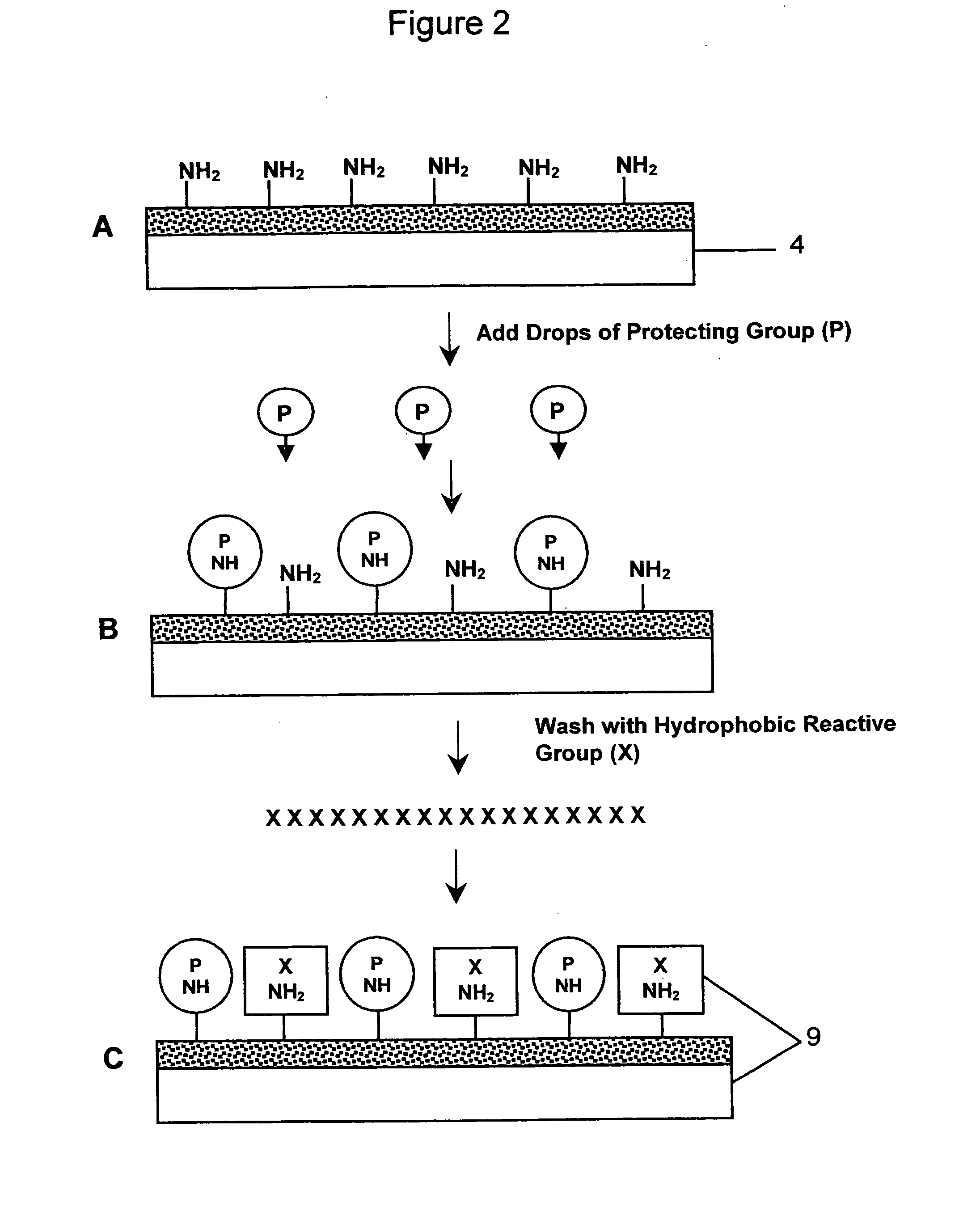 Miniaturized cell array methods and apparatus for cell-based screening