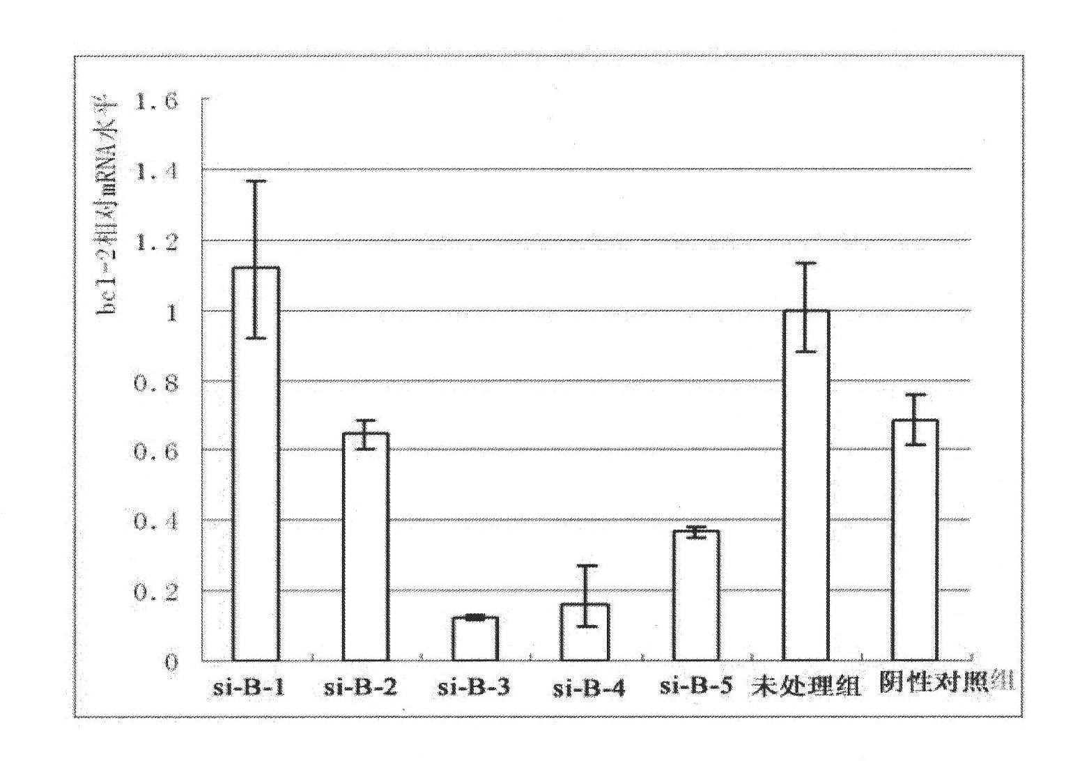 SiRNA molecule for interfering expression of Bcl-2 gene and application thereof