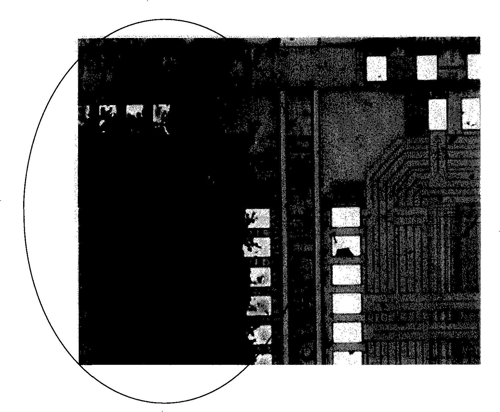 Plasma reaction chamber pretreatment method