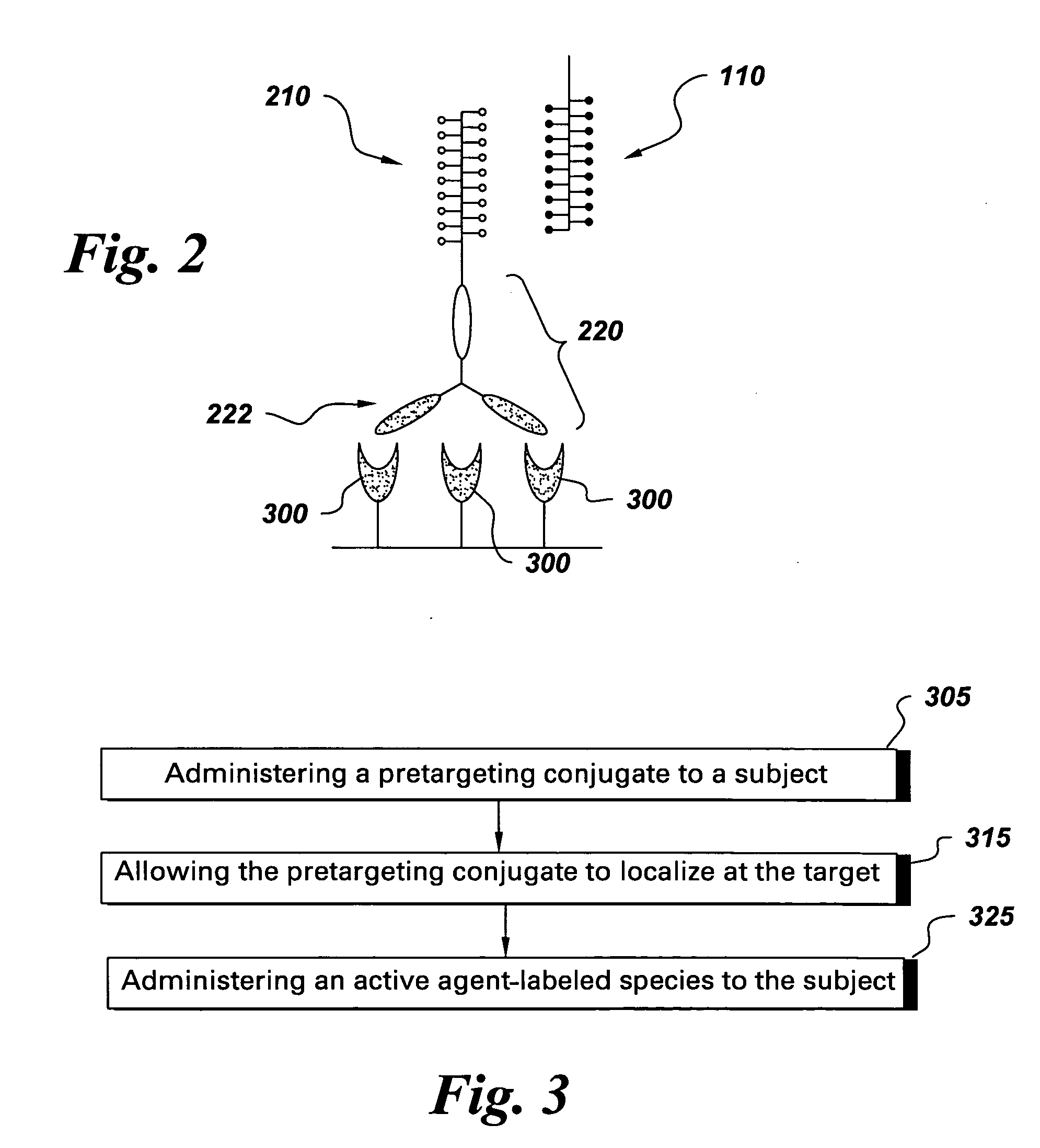 Compositions and methods for enhanced delivery to target sites