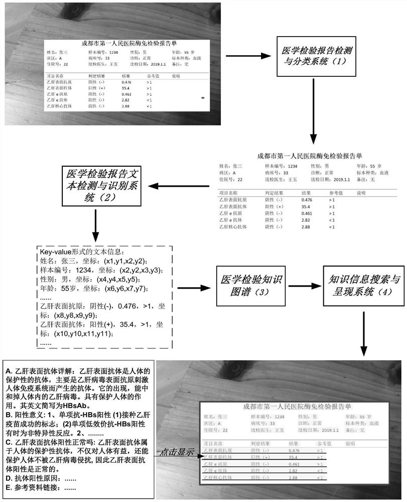Artificial intelligence automatic interpretation system for medical examination report