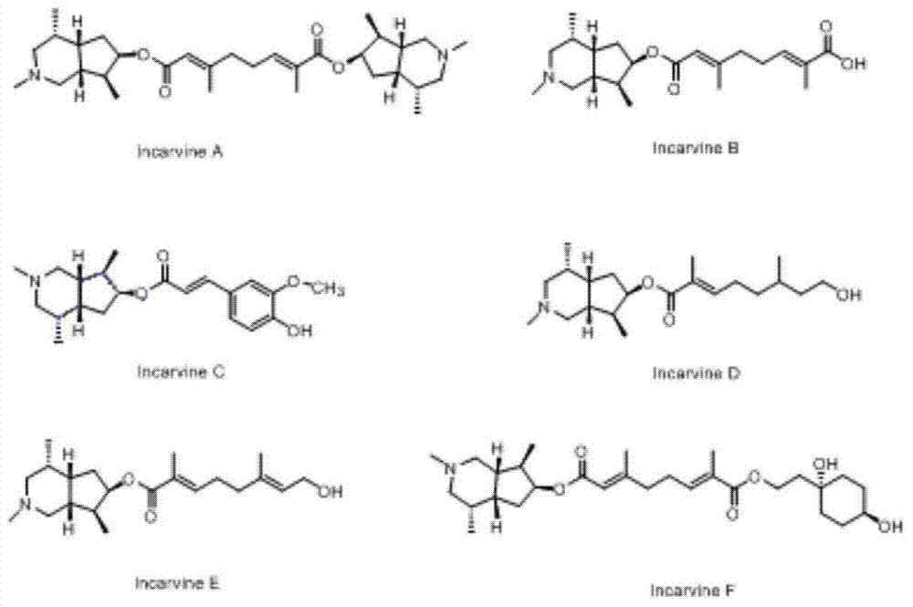 Application of incarvillateine compounds in preparation of anti-breast cancer drugs