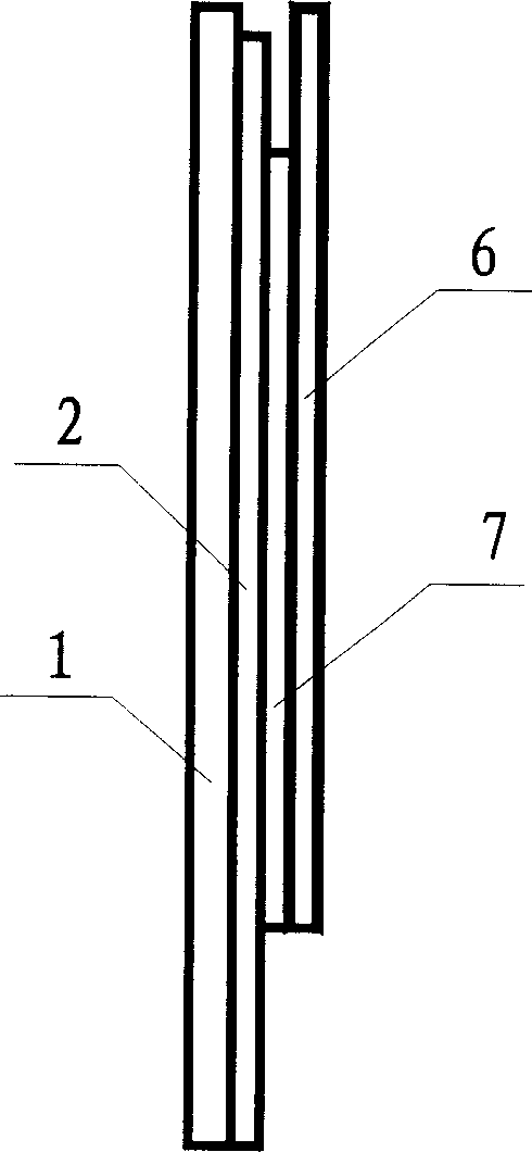 Siphon nano-biosensing chip and preparing method thereof